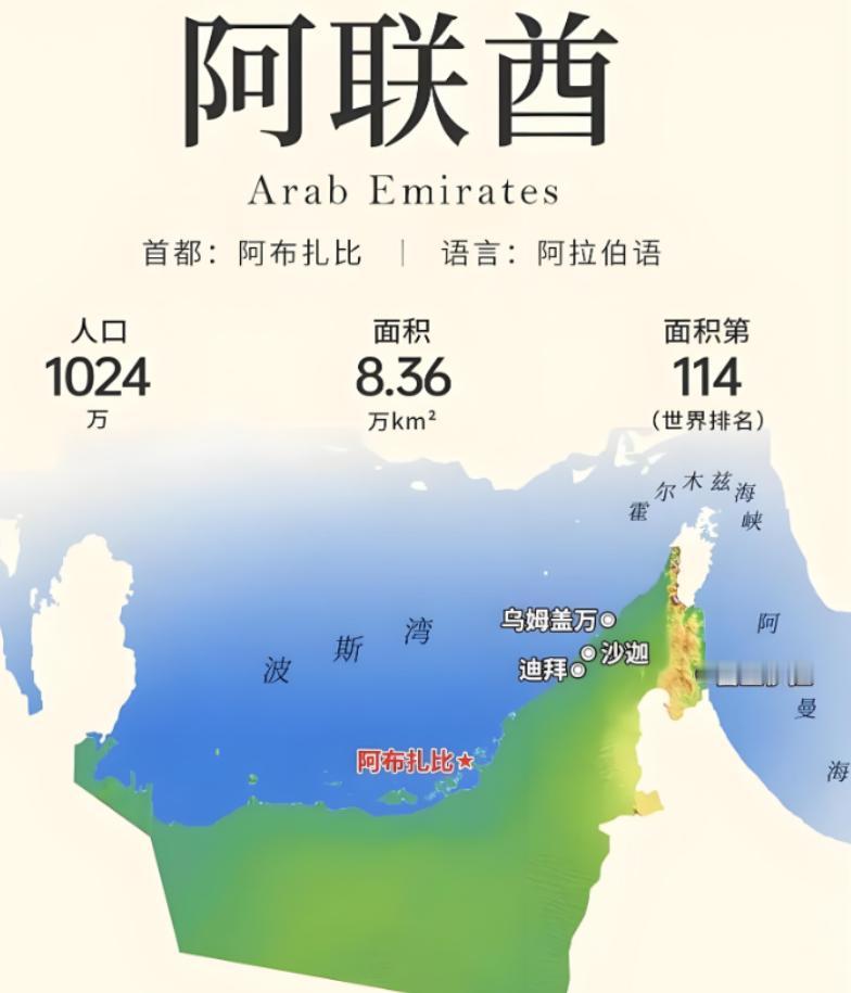 阿布扎比的王储来了。专机在北京降落的那一刻，这位酋长心里怕是不太好受。不是因为我