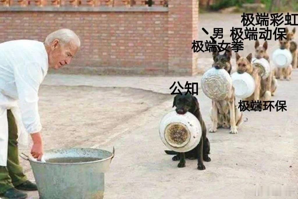 美国特色资本主义核心价值观:自由、民主、平等、人权。价值观是要区别其阶级性的。 