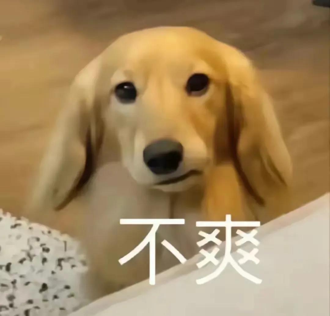 不合规
道理很简单
又不是交警建设的路