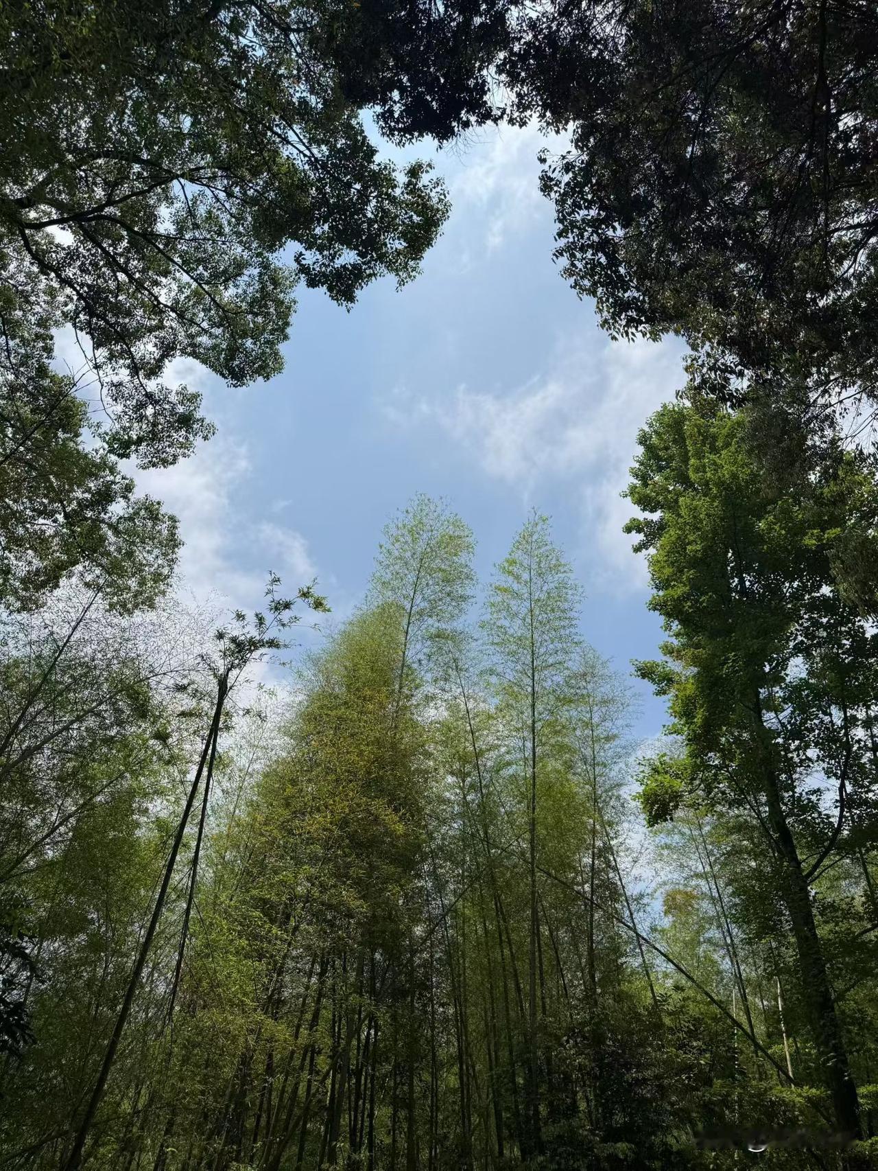 10多年前我们村发生过一件怪事，来个外地的老板修高速公路，有段沟需要架桥，怎么修