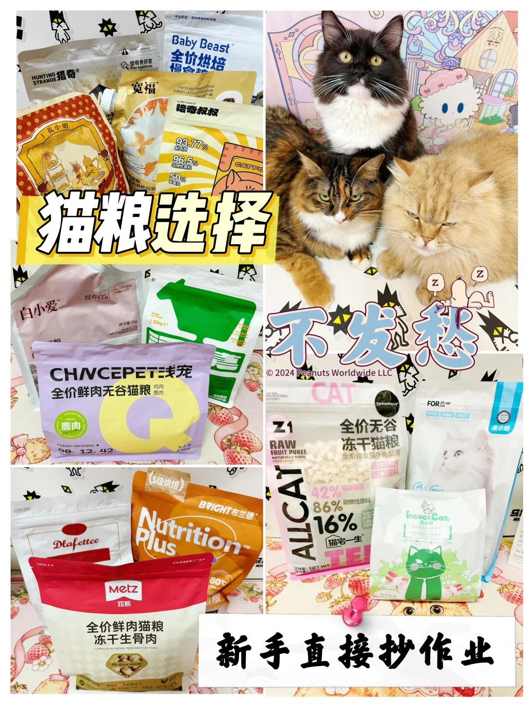 【入门级猫粮推荐】不会出错系列🫶🏻