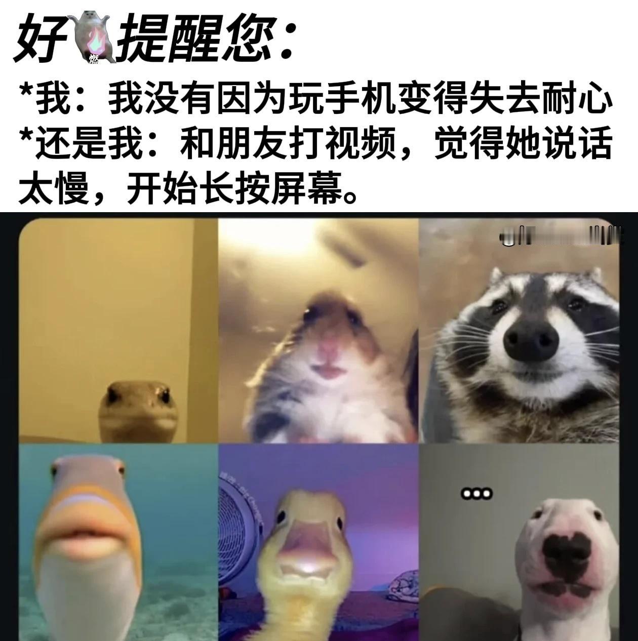 今日meme：当你玩手机遇到的事情被做成meme
让我看看有没有人回答不上来p4
