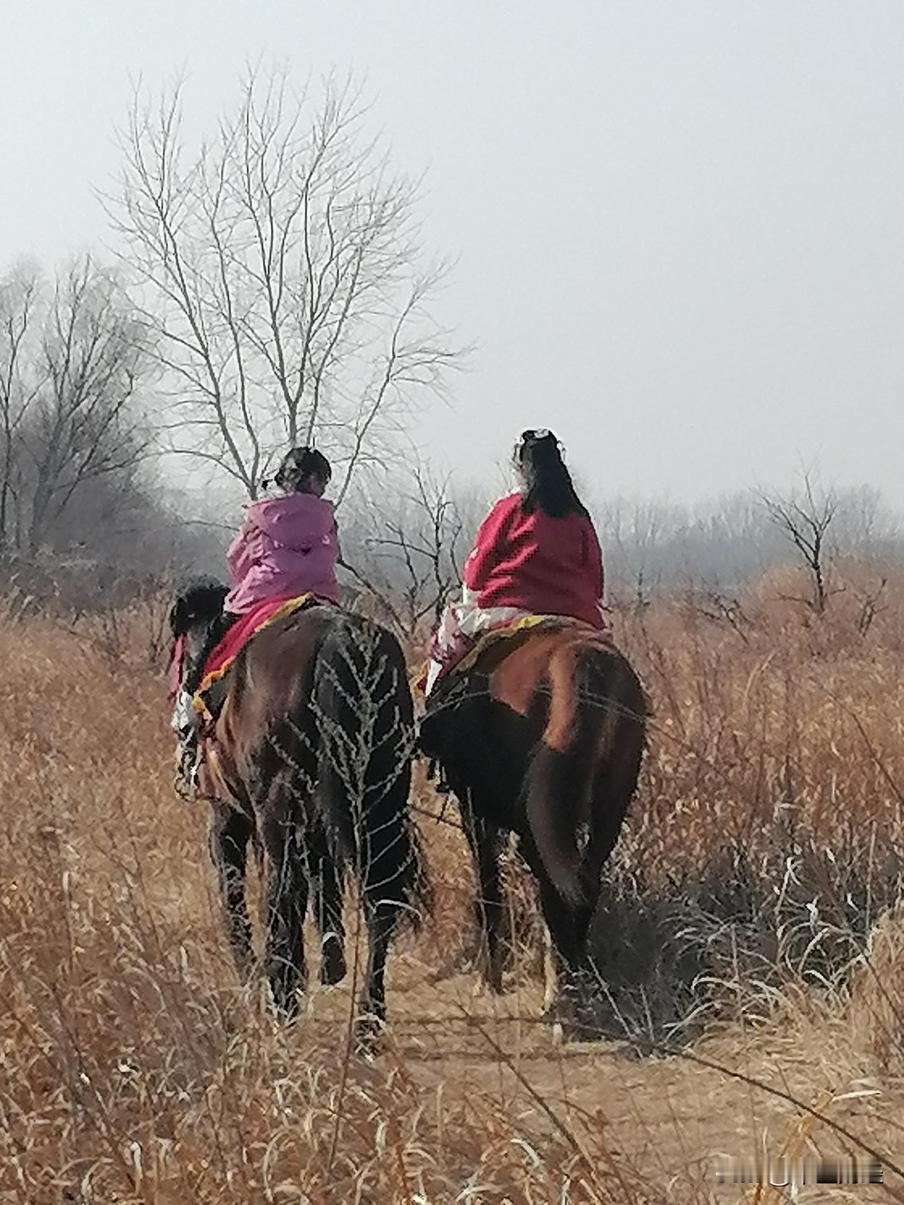 天南地北大拜年马到成功！我正在参加天南地北大拜年活动，每日完成任务有机会瓜分80