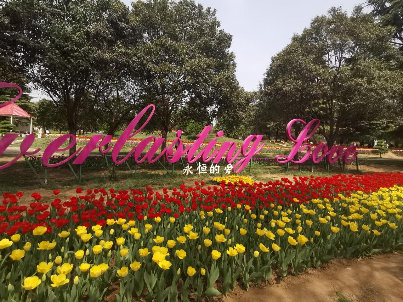 只有父母最了解自己的孩子，任何一款志愿填报软件都只是志愿填报的辅助工具，可用于搜