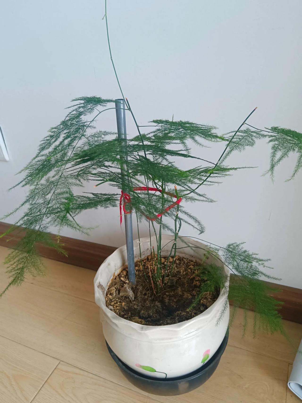 南京财经大学的审计学天衡联培班，江苏的考生你报了吗。
南京财经大学今年在省内招生