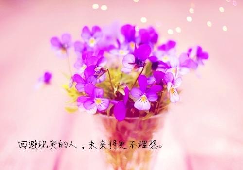 不用长成玫瑰也能迷倒众生：做一朵无名花，照样有人爱你！

亲爱的朋友们，今天我们