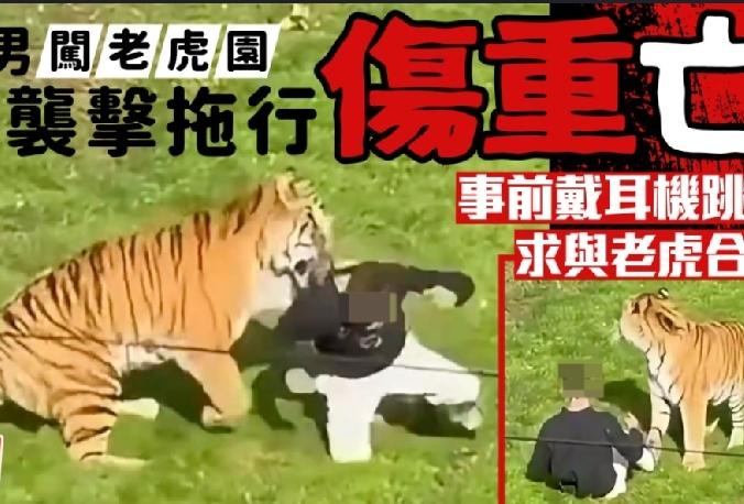 英国南约克郡（South Yorkshire）一座野生动物园周六（10日）发生罕