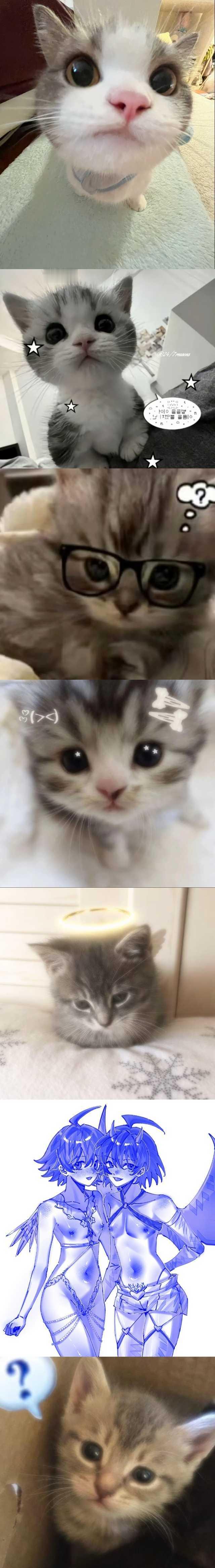 6709.是月的双入