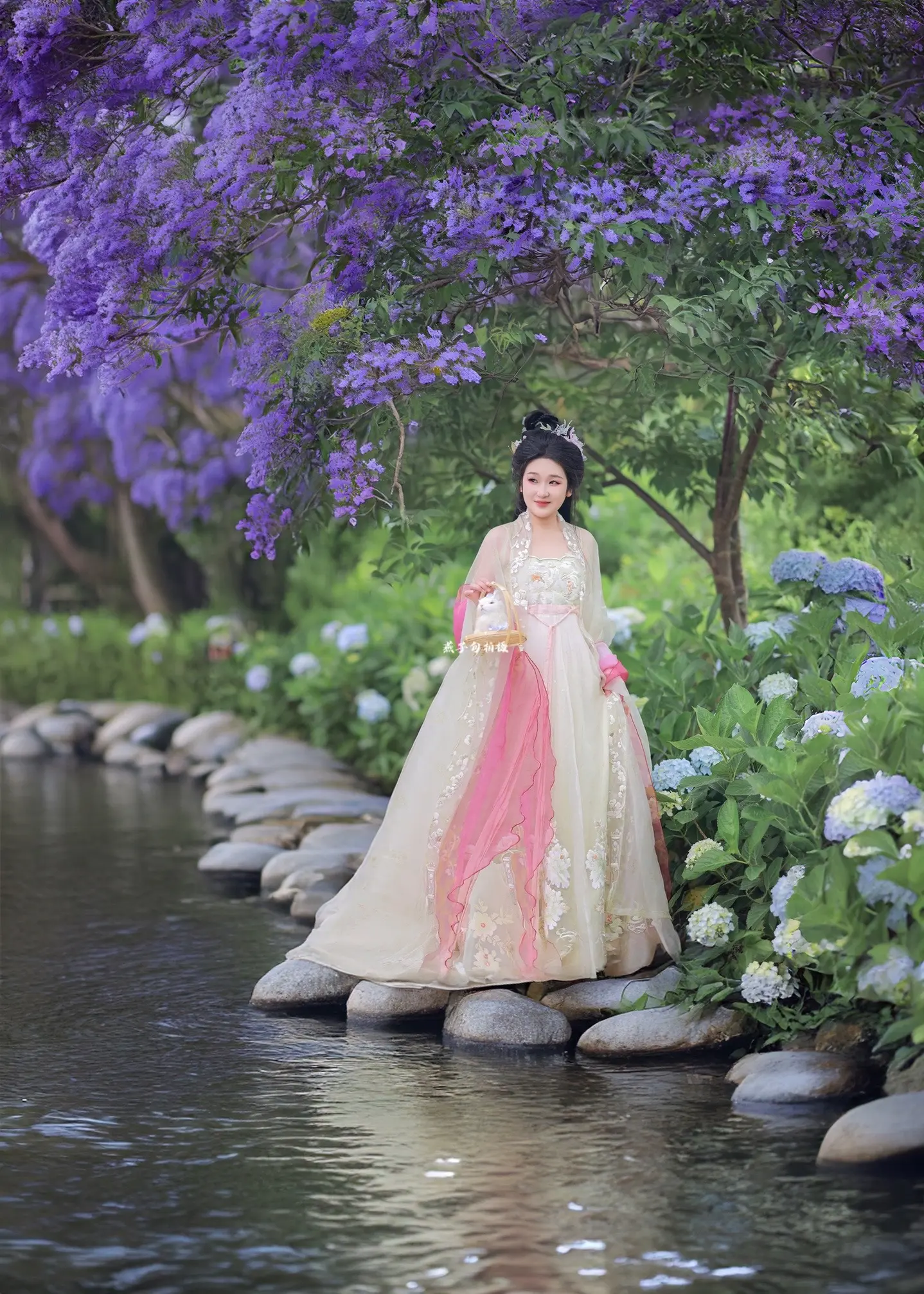 夏天的开端就是蓝花楹和无尽夏绣球嘛～
