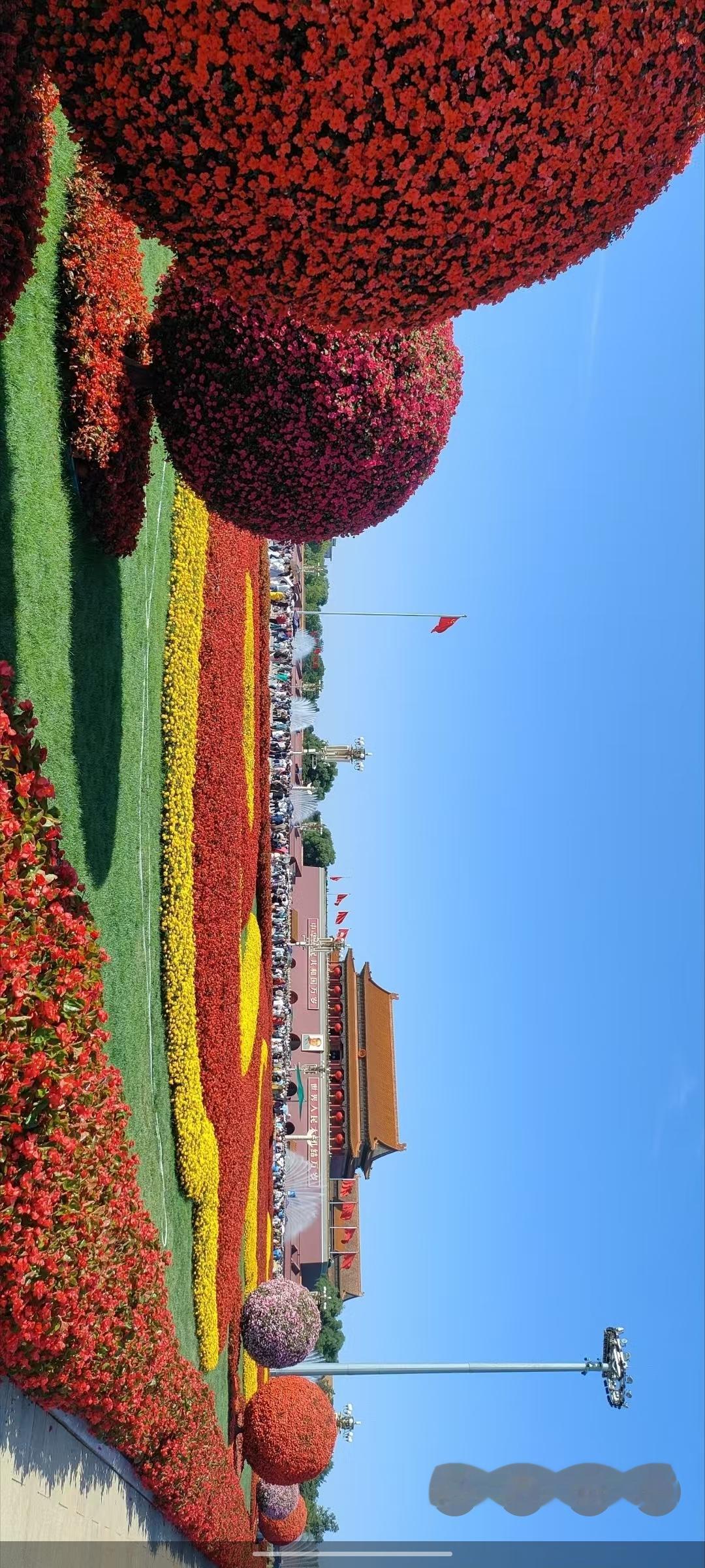 打卡天安门广场，花海盛开，美不胜收！