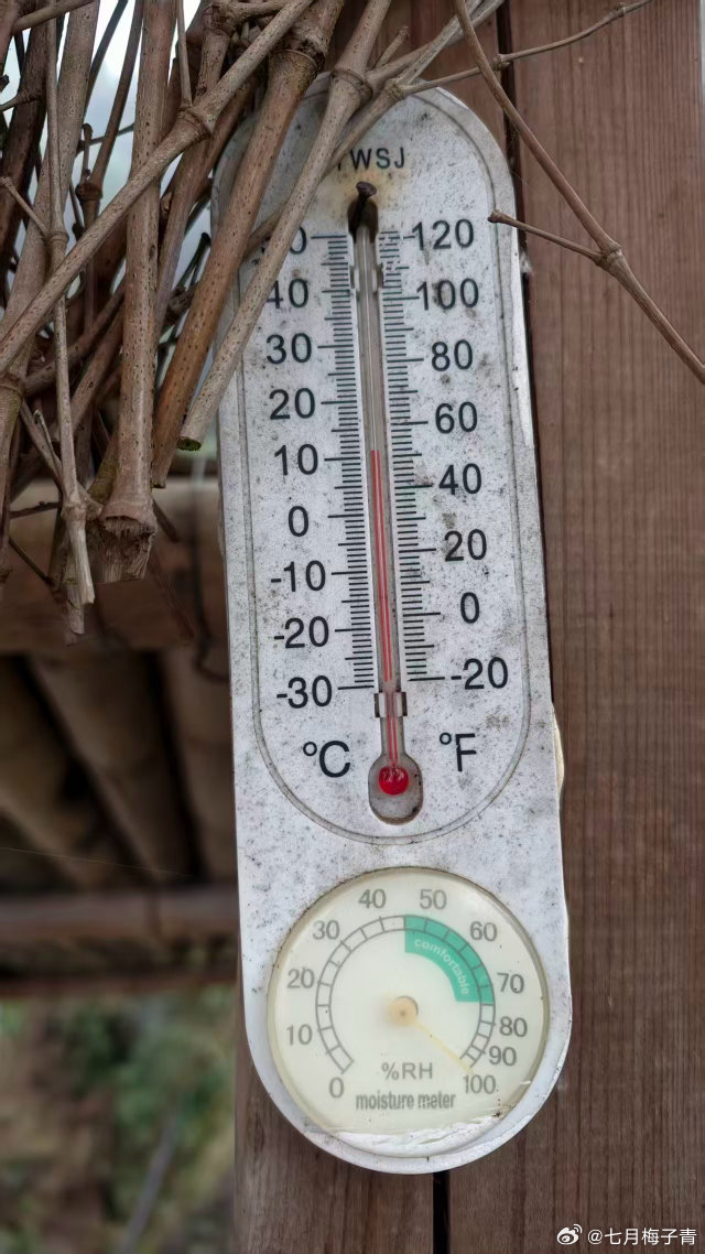 雷暴大风冰雹来了我们的明前龙井呀……拜一拜太阳公公，今天山上温度，此刻还烧着火炉