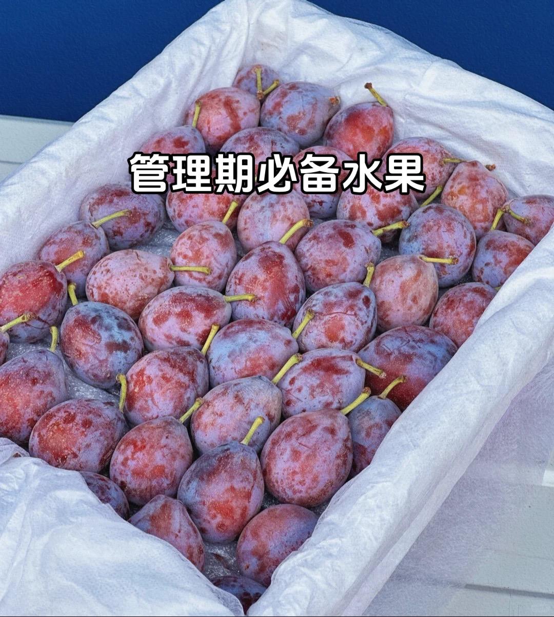 这西梅真的是贼大贼新鲜，这才是管理期，孕妇水果的正确打开方式，好吃又通畅，比喝西