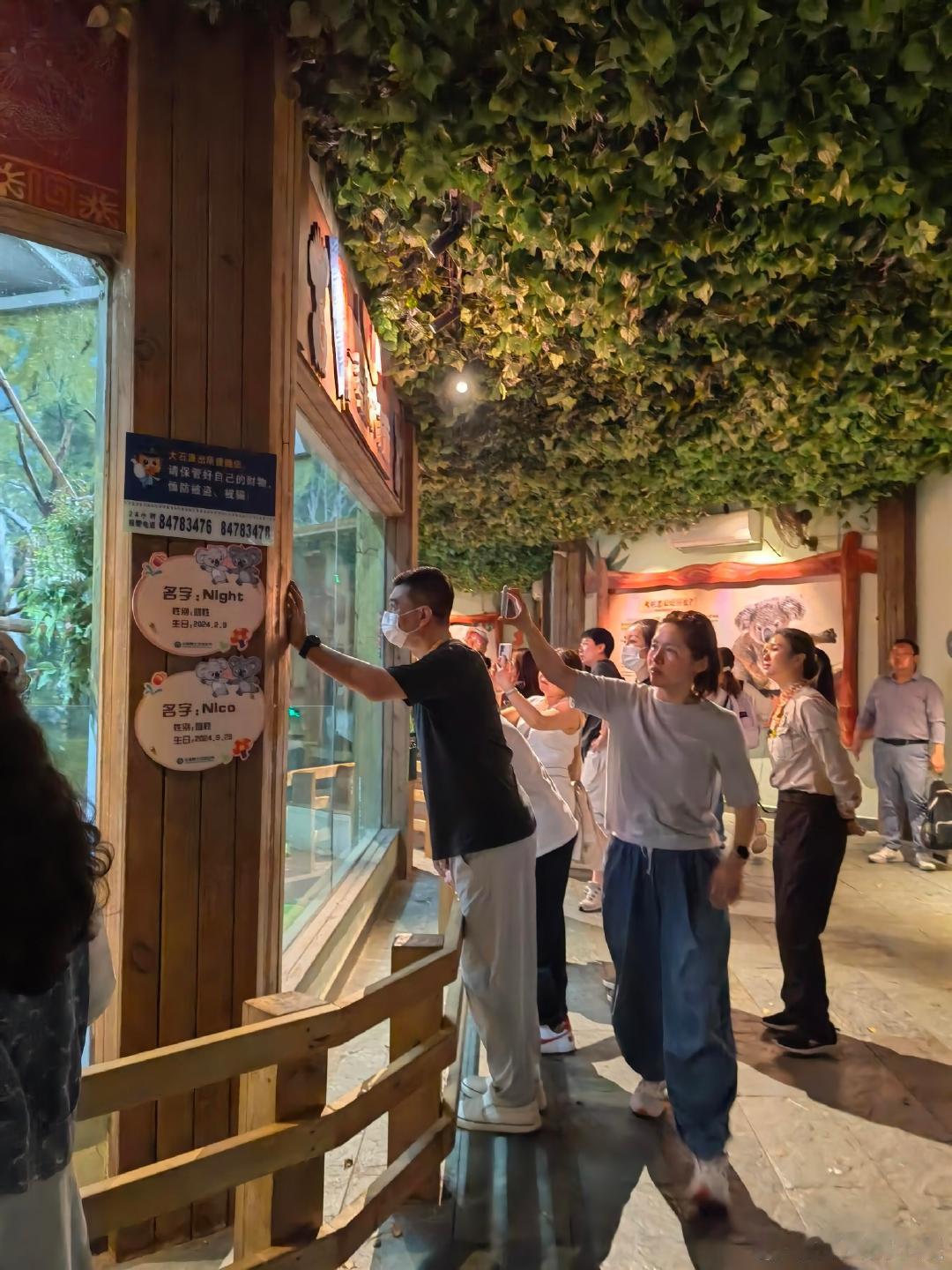 广州偶遇秦海璐王新军一家三口秦海璐王新军一家三口逛动物园广州偶遇秦海璐王新军一家