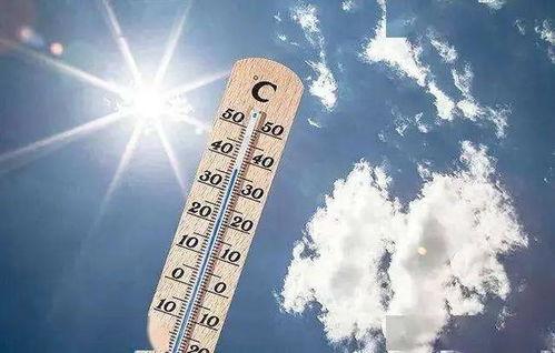 高温天气最让你受不了的是什么高温天气最让人崩溃的是体感温度远超实际的“蒸笼效应”