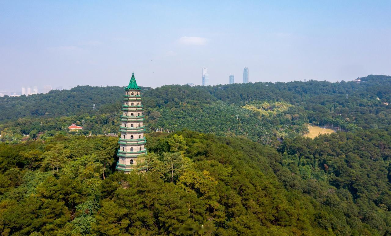 广西最适合养老的城市是哪一个？

综合全能首选：南宁（绿城）
全区医疗最强，三甲