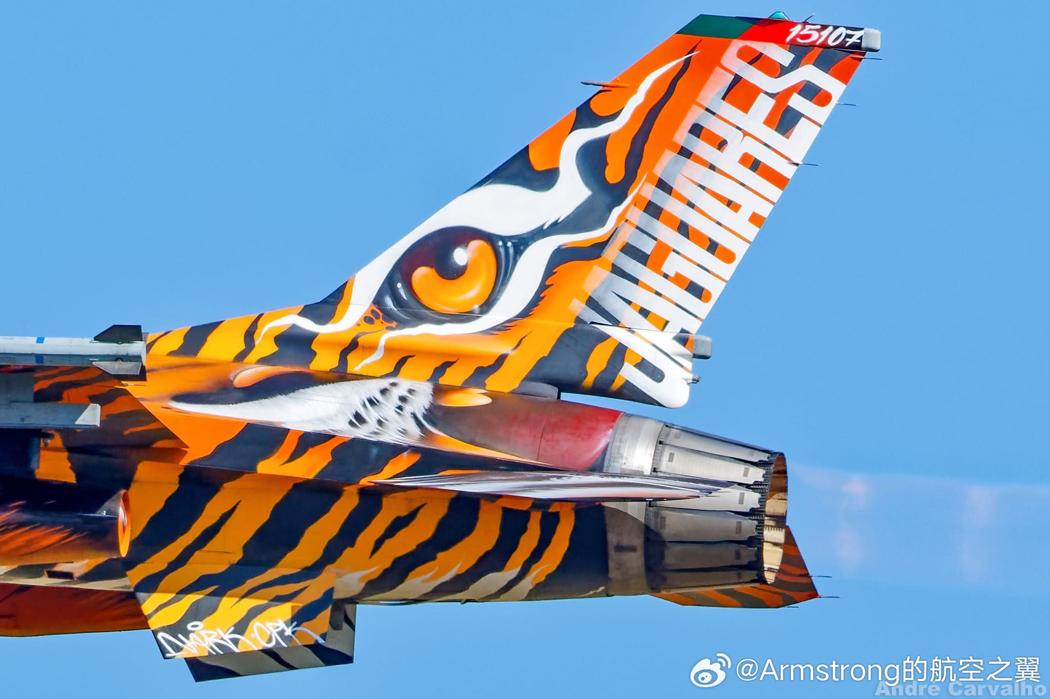 葡萄牙空军301中队F-16AM今年的老虎涂装 ​​​