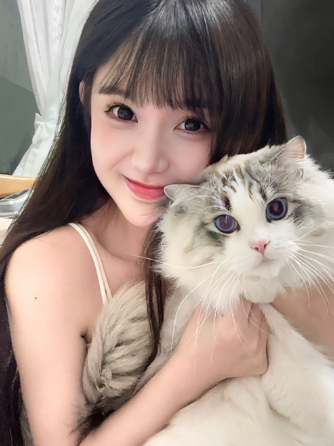 好喜欢我得猫