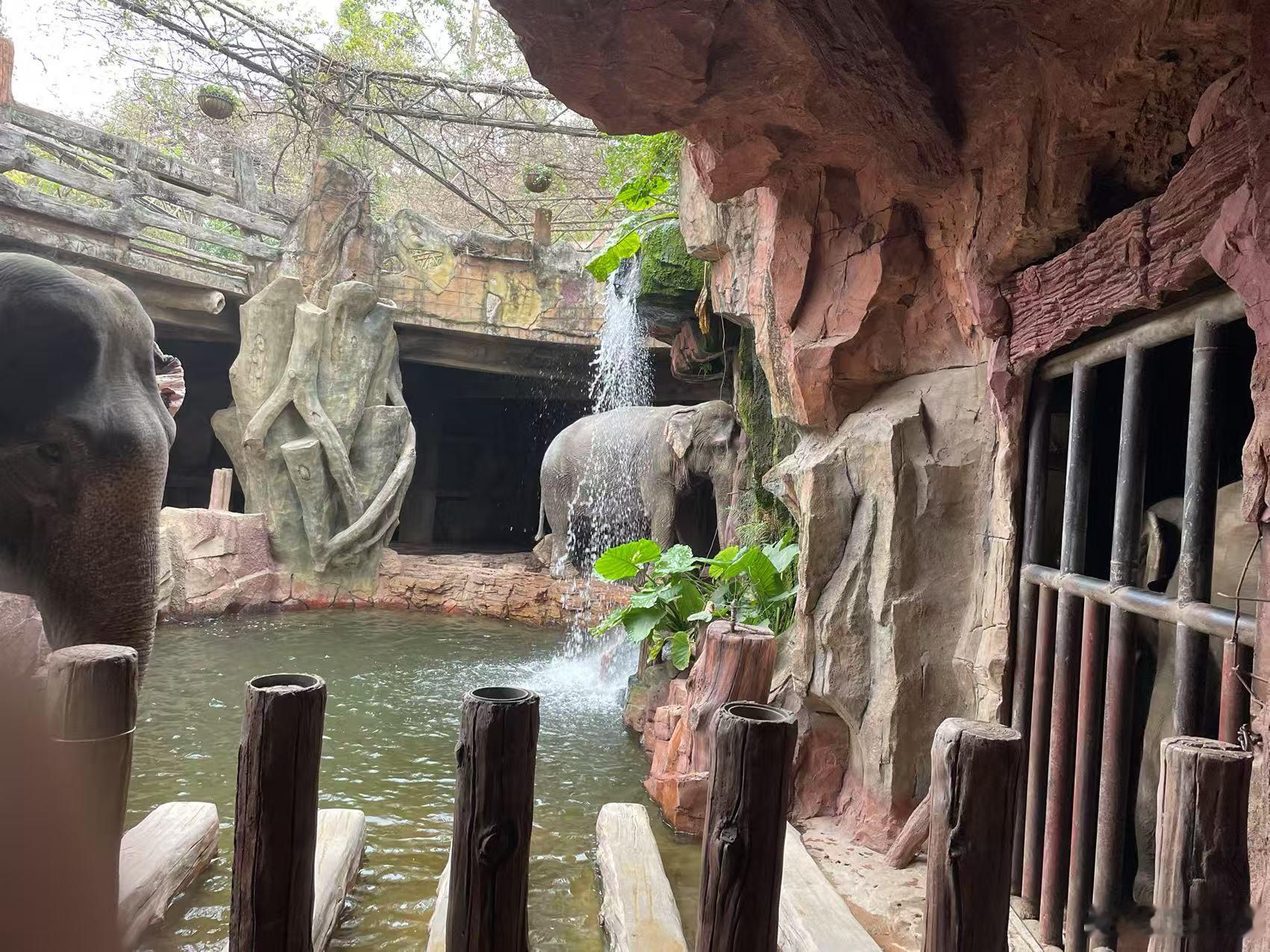 好开心的一次旅行，带上我儿子一起嗨皮，早安，全世界 东莞