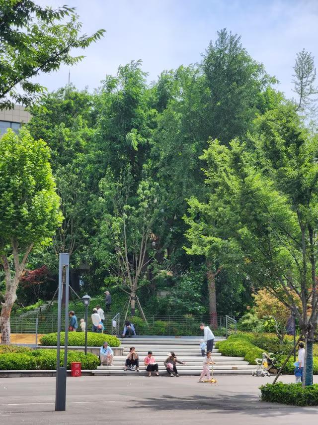 夏日的美景就美
夏天的绿是深沉且有生命力的，夏日绿是“墨绿”、“翠绿”、层层叠叠