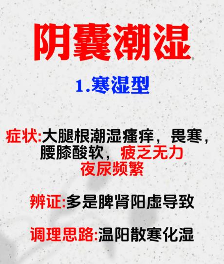 从症状看根源：下焦潮湿的 3 种常见证型解析