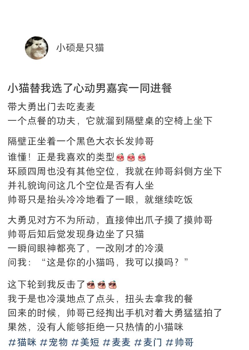 小猫替我选了心动男嘉宾一同进餐 