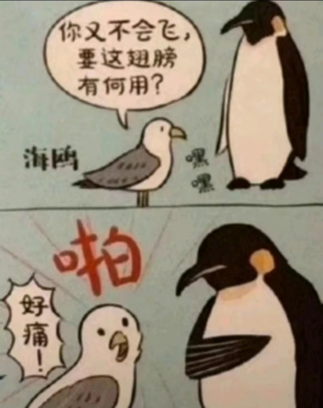 管你什么事，来来来，给你看看有什么用#meme# ​​​