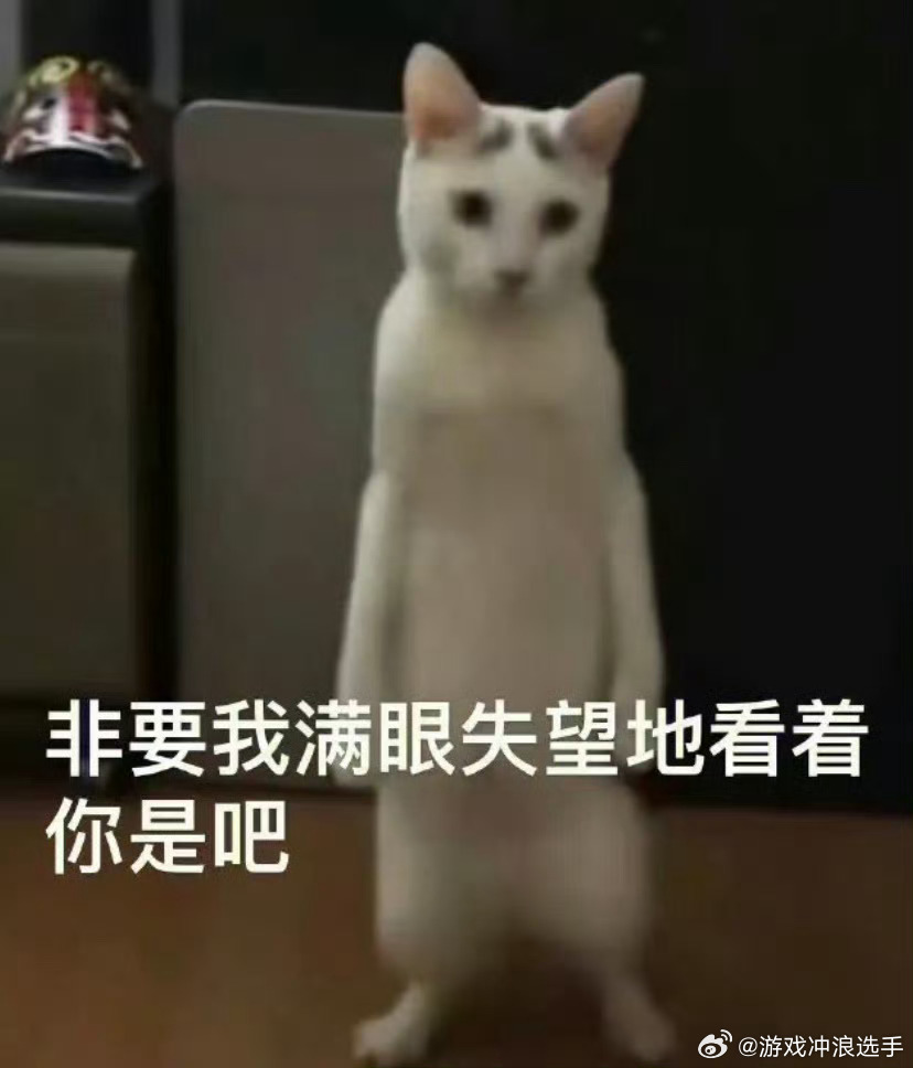 女装的钱太好赚了现在预售的太多了，你敢信，我三月初买的衣服，要五月之前发货，后面