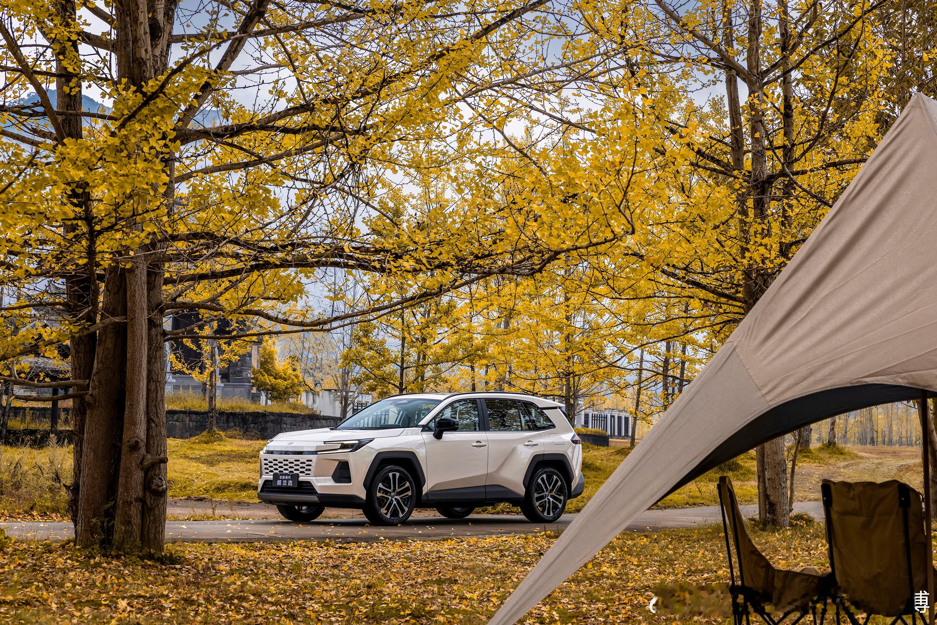 秋日有限定，惊喜无限量银杏树下，硬朗科技也很浪漫全新威兰达，今天14点见！