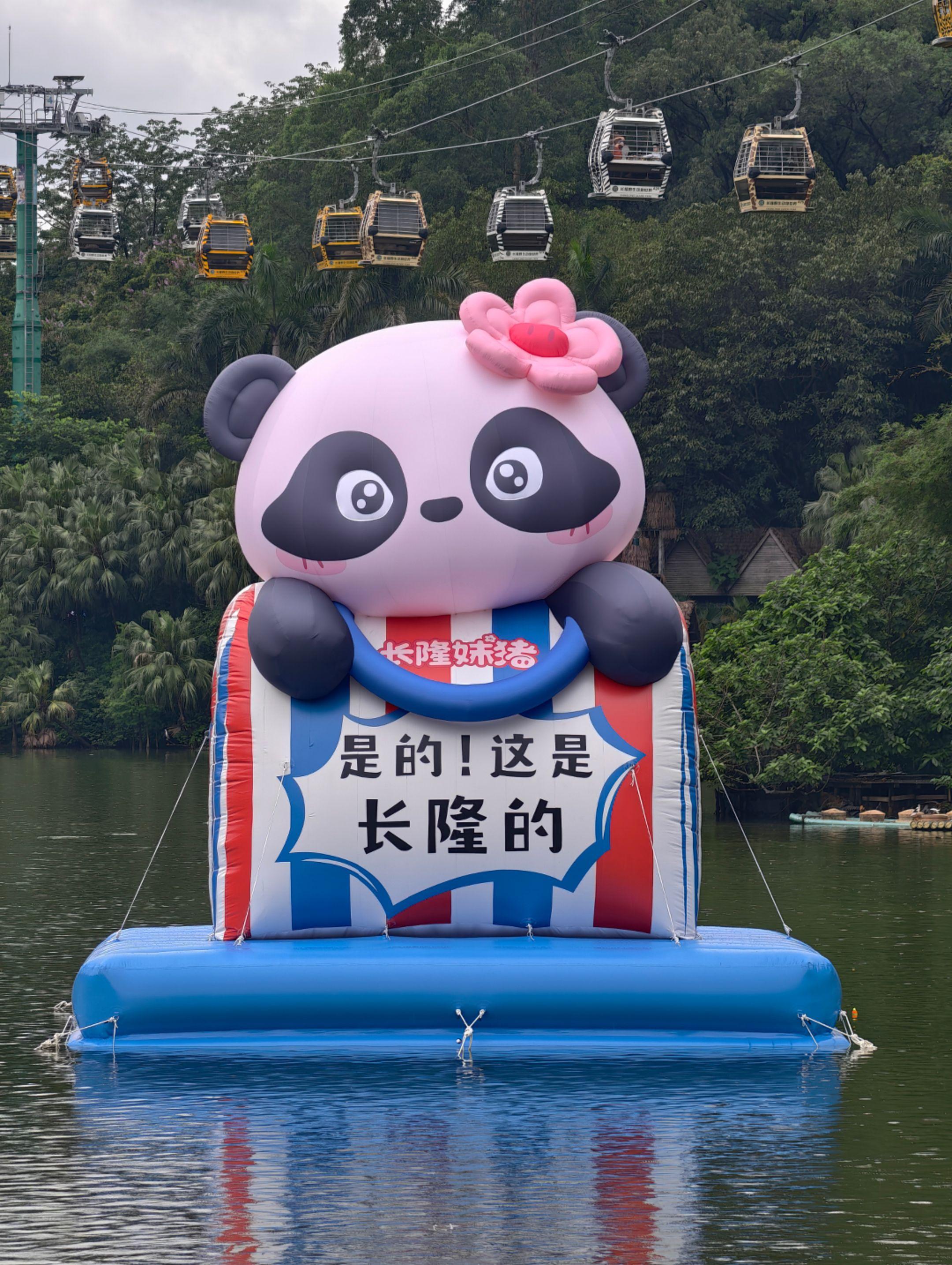妹猪，生日快乐。