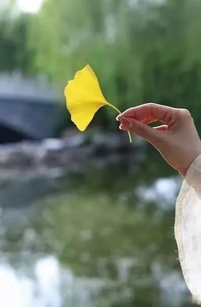 摘录

1.什么叫见过世面？
就是“见天地，见众生”。
能理解落魄者囊中羞涩的窘