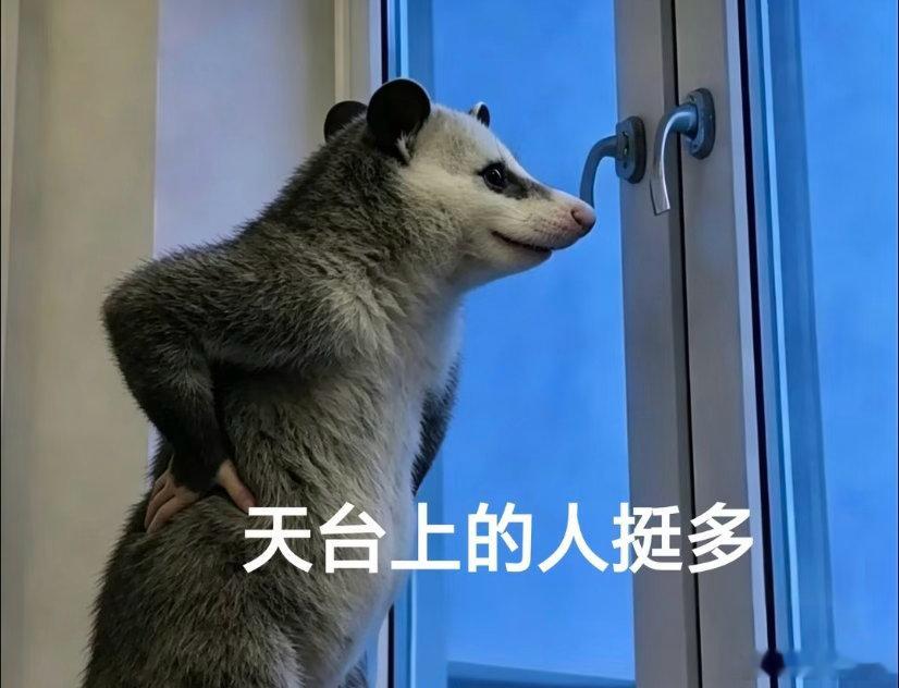 追世界杯的我belike距离世界杯开赛过去二十多天，精神分裂日常循环上演，白天发