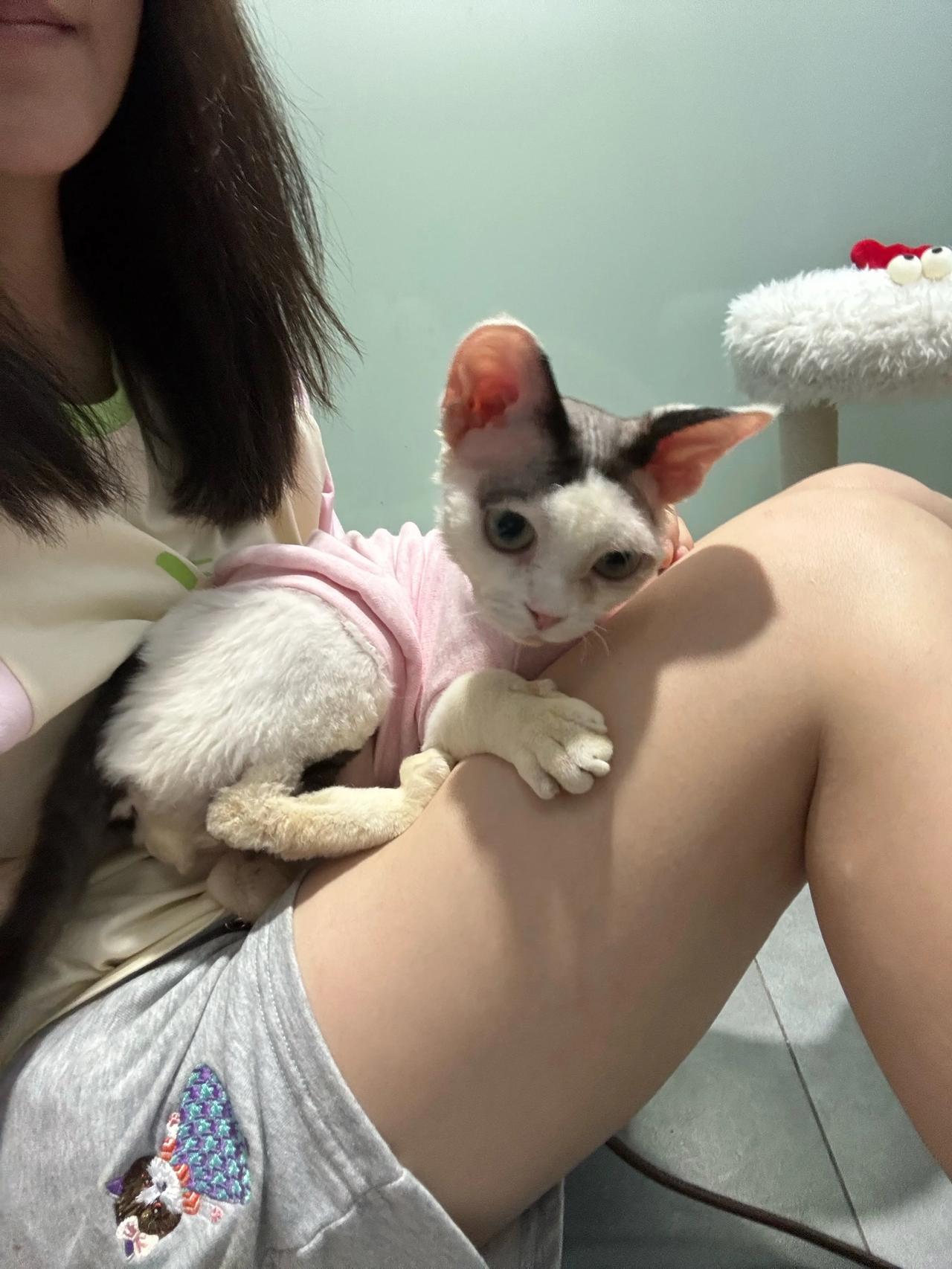 阿德今天跟李老师穿情侣衫，你就说好不好看吧！
#猫咪# #萌宠#