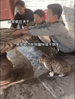 众人在水池边洗手时，男孩留意到一旁的小猫喝不到水，便贴心地用手捧水喂给猫咪。
