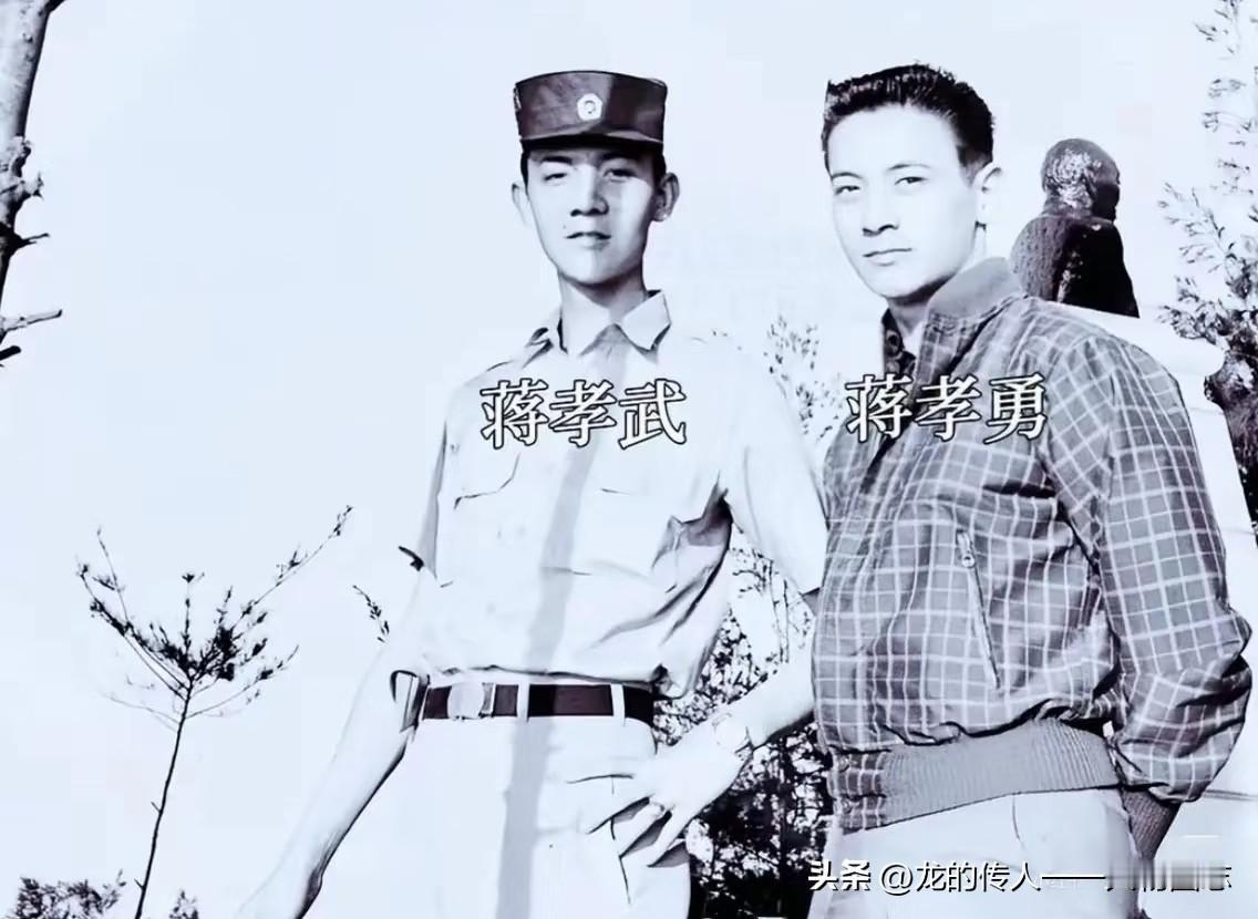 年轻时的蒋孝武和蒋孝勇两兄弟的合影，两兄弟在父亲的安排下，走了截然不同的路，孝武