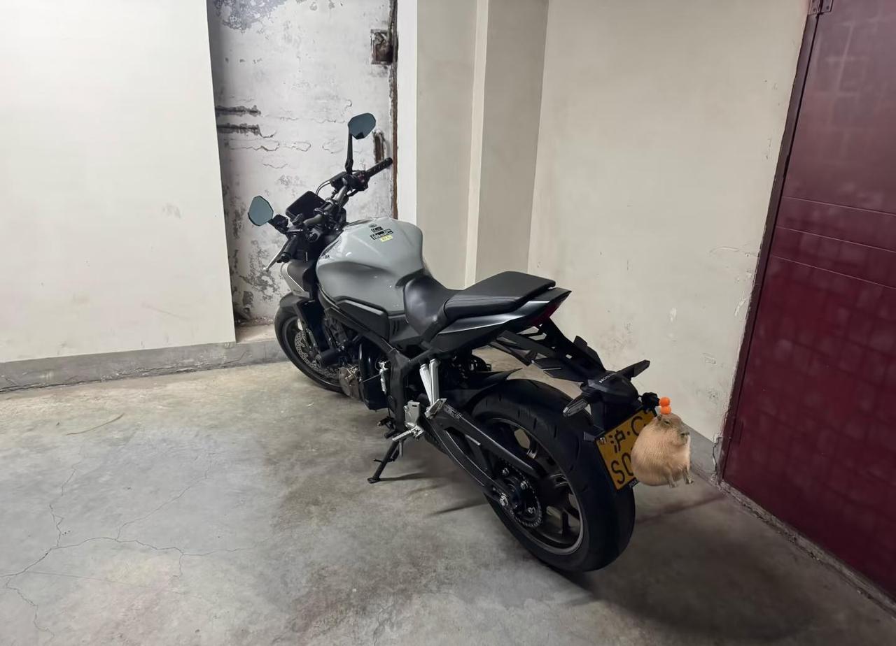 合法合规 安全骑行
出门不用再在第一个红绿灯路口上人行道了[发怒]
骑帅不骑快安