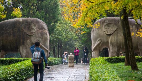 🛵苜蓿园出发两天半骑吃金陵看遍美景！