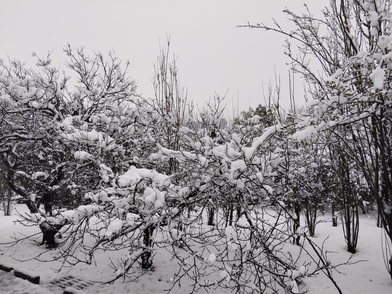 真服了！介绍个对象，1万6彩礼被骂卖女儿。
 
好心给身边35岁的小学老师介绍对