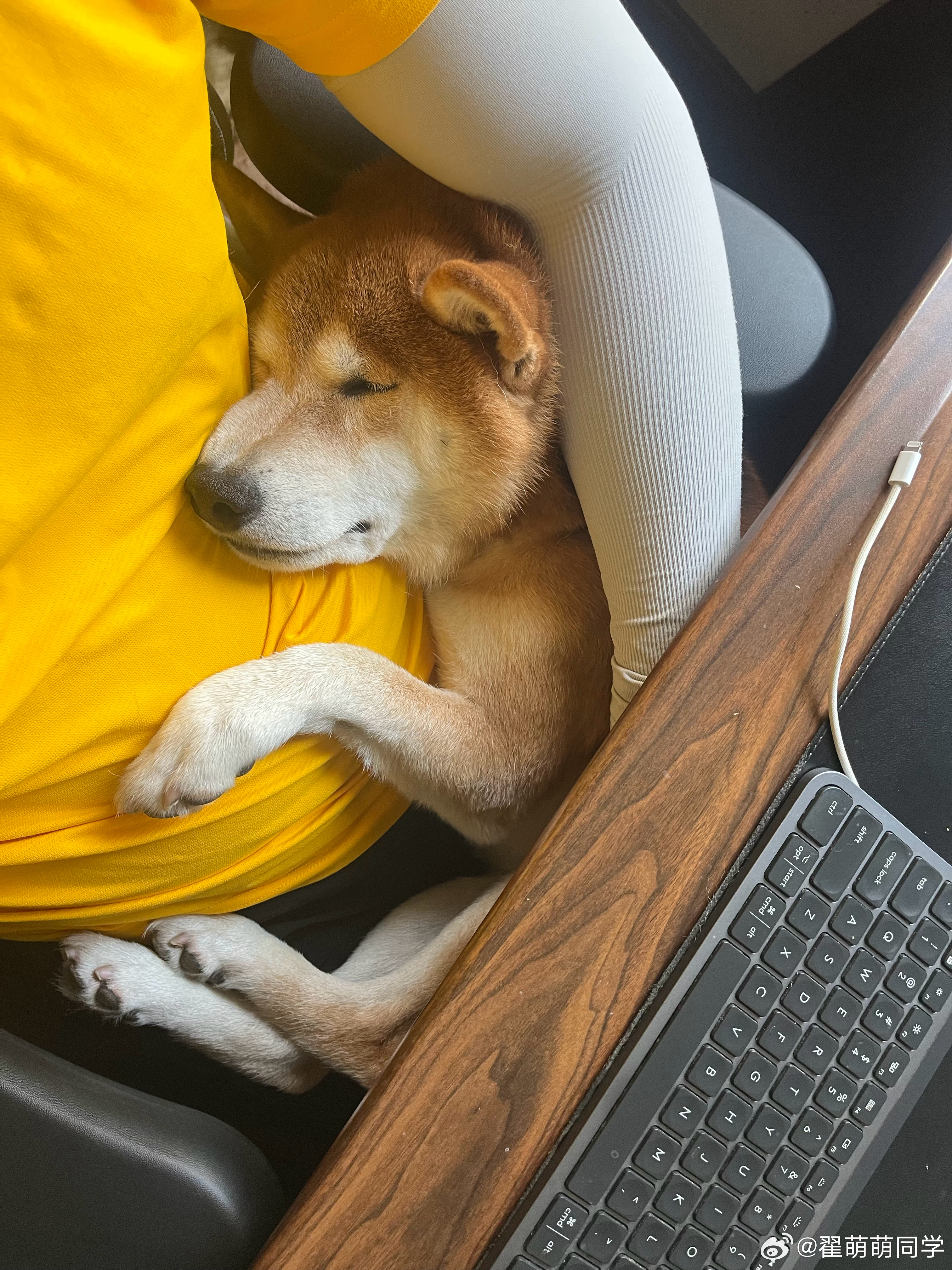 抱着这货🐶睡觉快9年了，另一个太大后来就抱不动了[单身狗]  ​​​