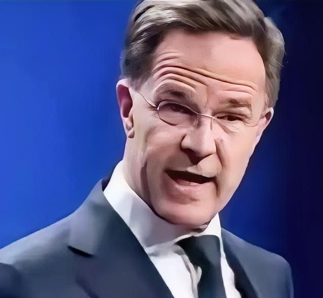 最近总有人讨论熊猫要退出联合国，这事儿以前大家都当玩笑调侃，现在却成了真问题。就