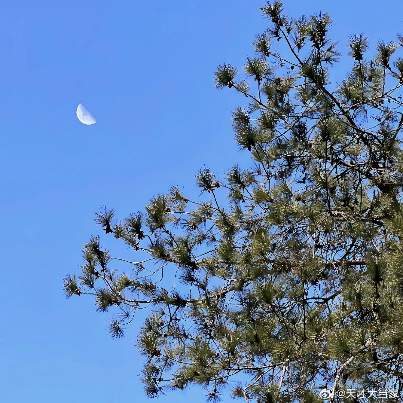 “千金散尽还腹来”谁来管管呢🌟 