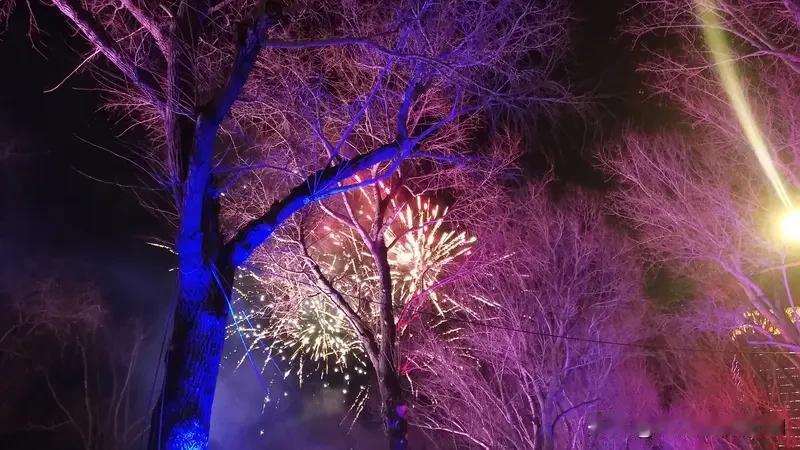 春晚看了近一个小时了，感觉就是：地主家里也没有余粮了。
这广告，锣鼓喧天，铺天盖