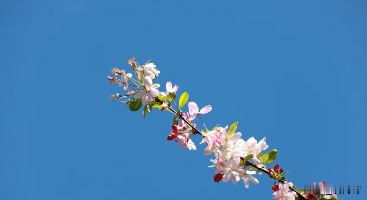 用钱供出来的孩子能是什么好孩子?
用钱供出来的孩子能是什么好孩子?
 
物质能养