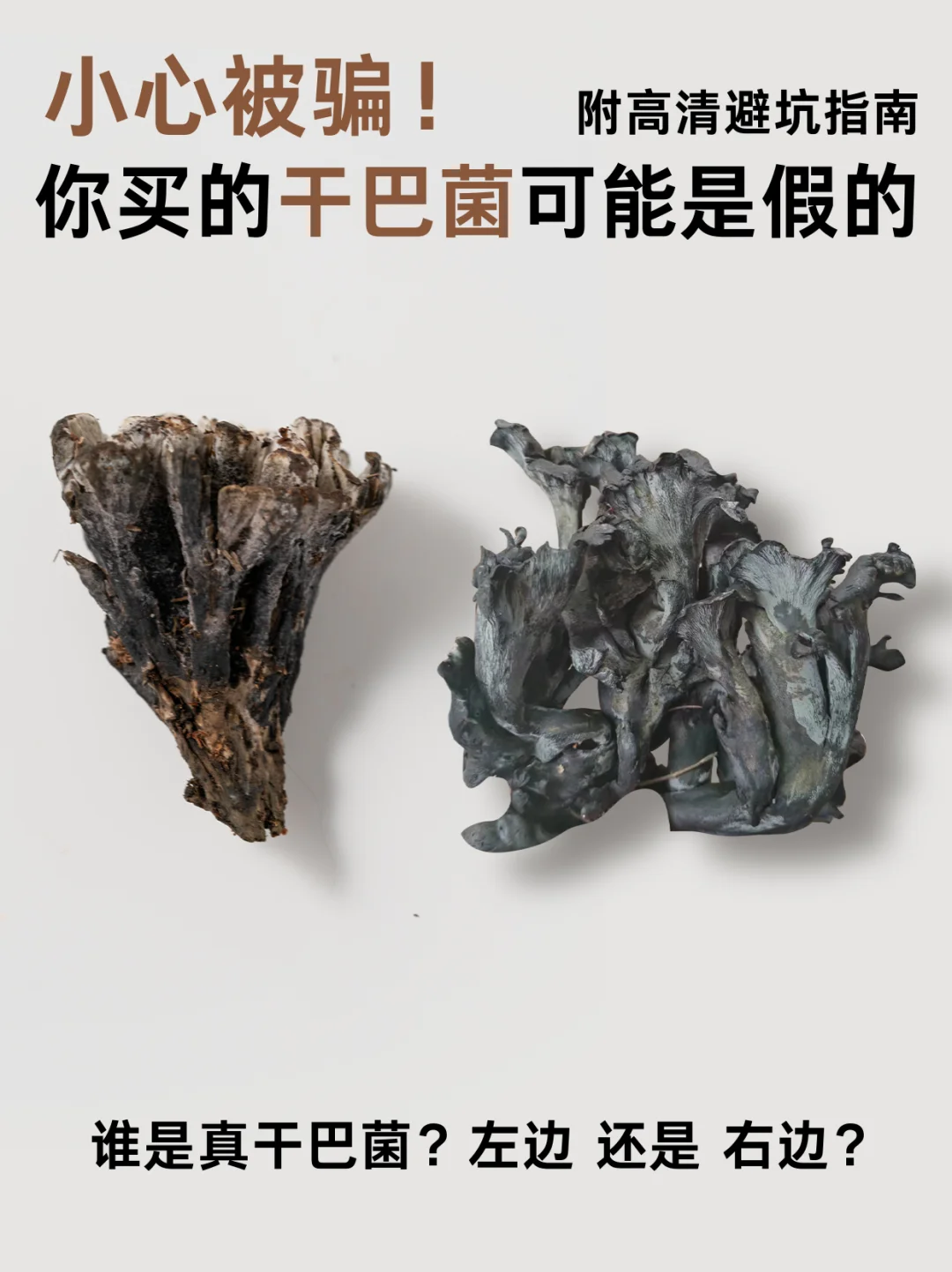 小心被骗！你买的干巴菌可能是假的