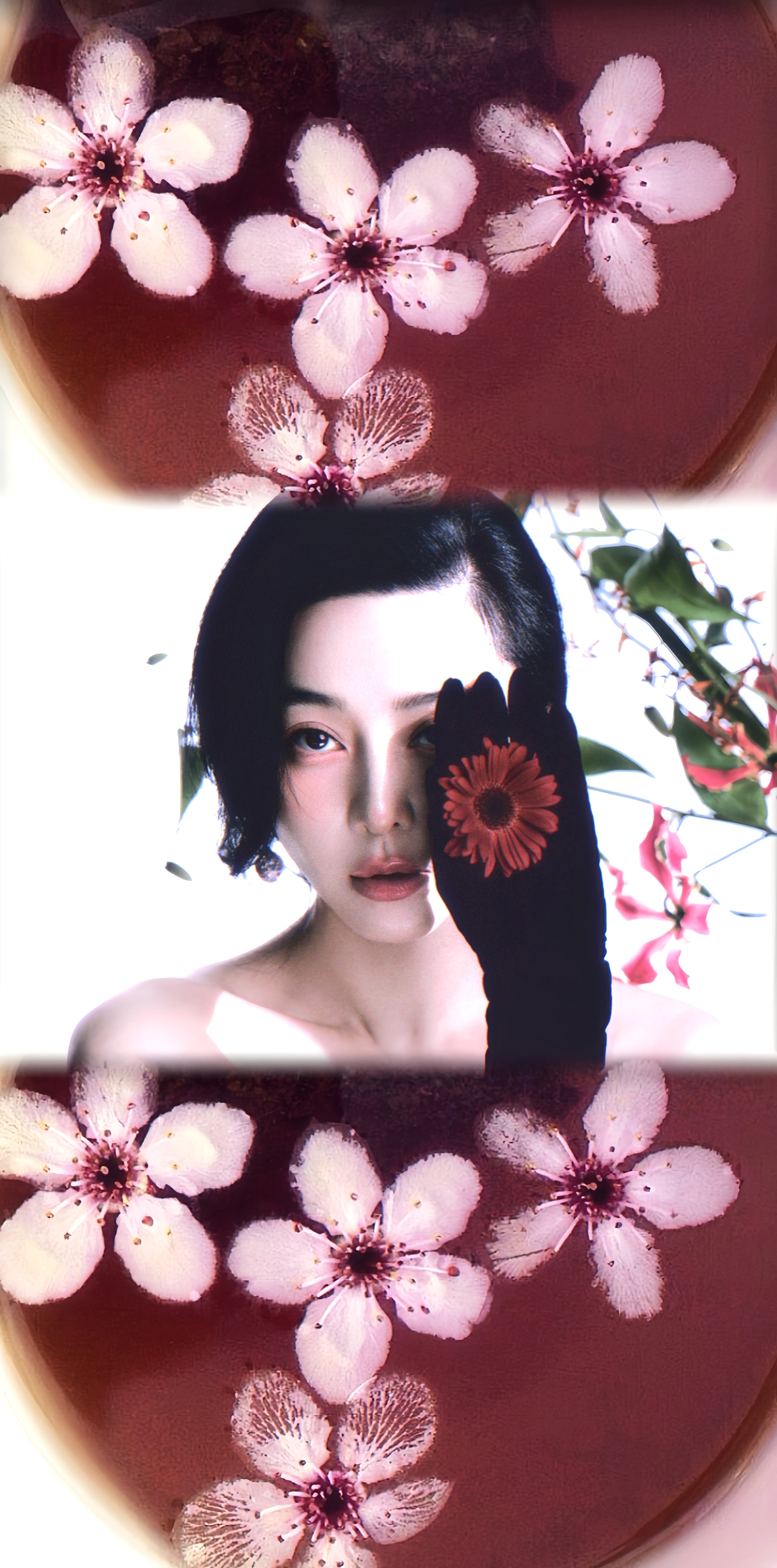 🥀/花与诗.·范冰冰[超话] ·范冰冰再获国际影后