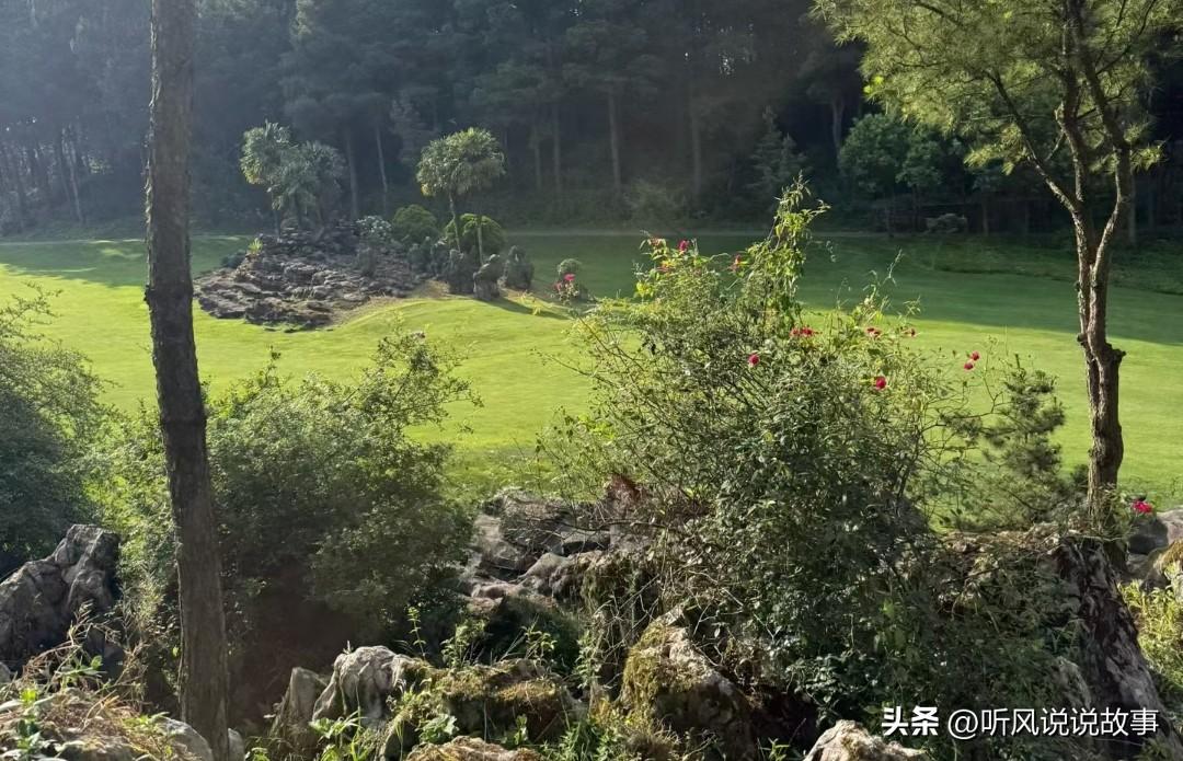 ❤️当有一天，你尝尽了社会的无情，金钱的压力，感情的不堪，人心的险恶，你终会明白