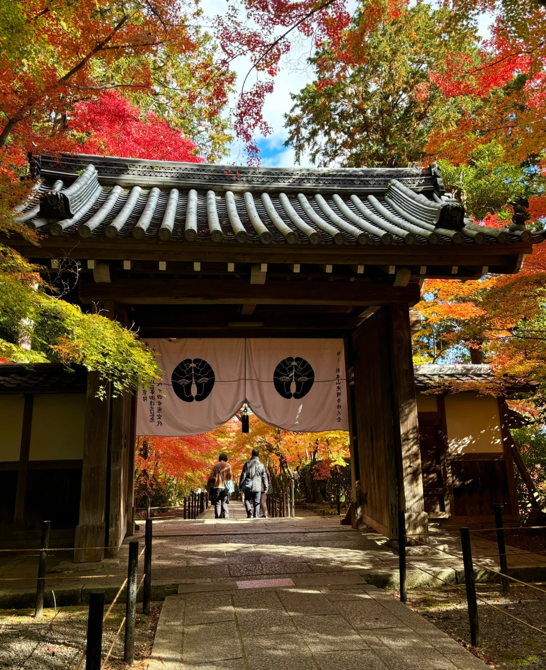 京都赏枫～光明寺🍁