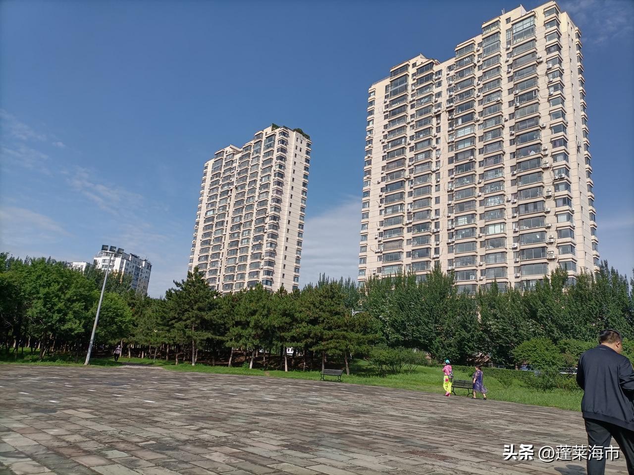 在河边溜达，正赶上一位老太太要将自己的一只小泰迪送给一位老先生。一位青年女士恰好