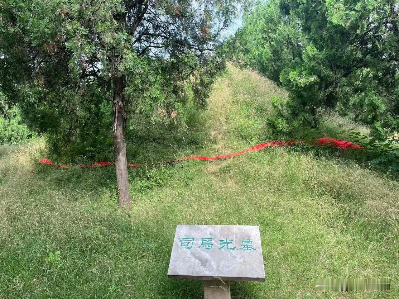 运城夏县司马温公祠，一大早来“砸缸”，结果既没人，也没缸[呲牙]
绿草茵茵年年绿