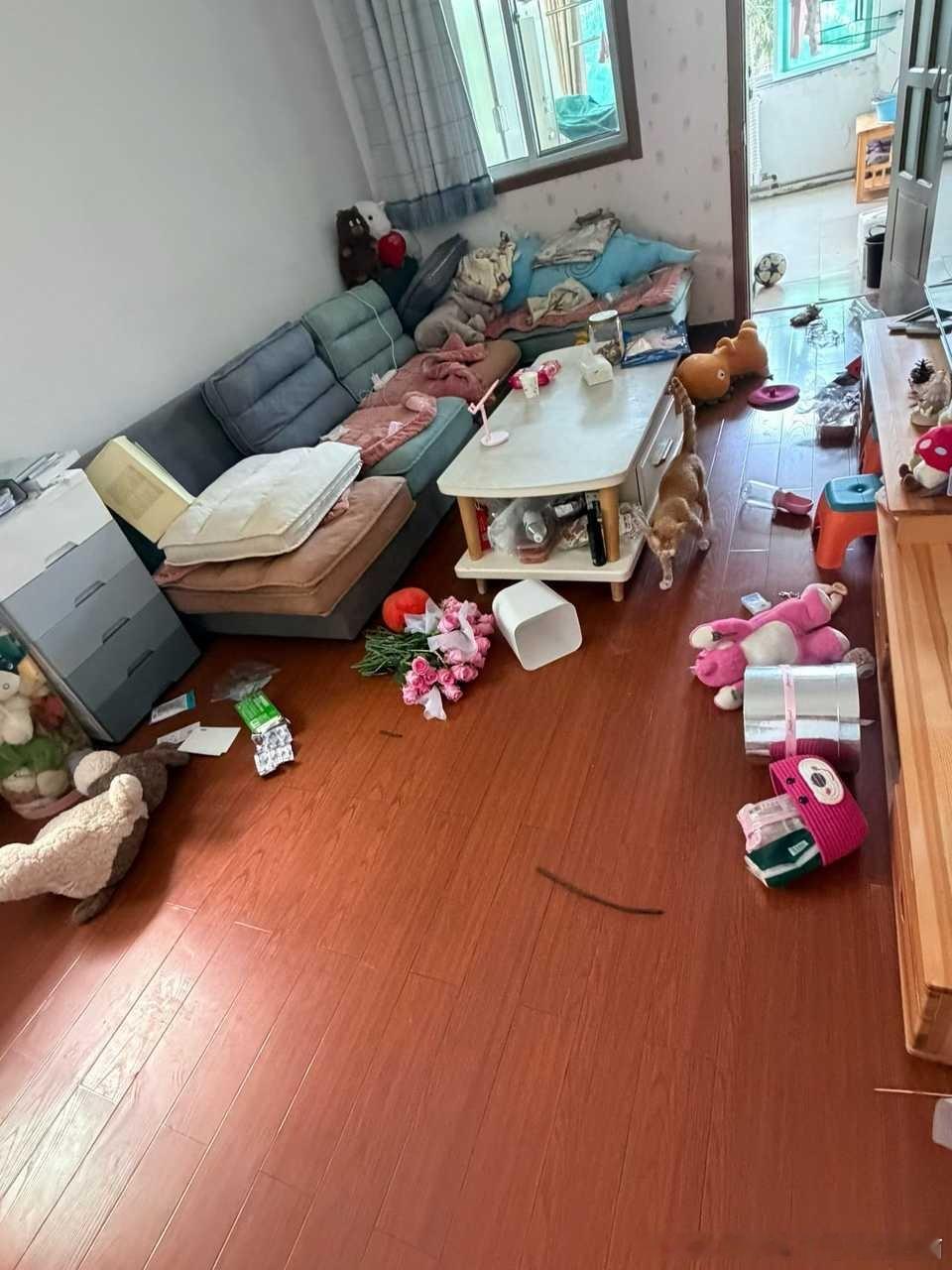 49759【求助】好心人帮我看看出去玩了三天回来家里是不是遭贼了 