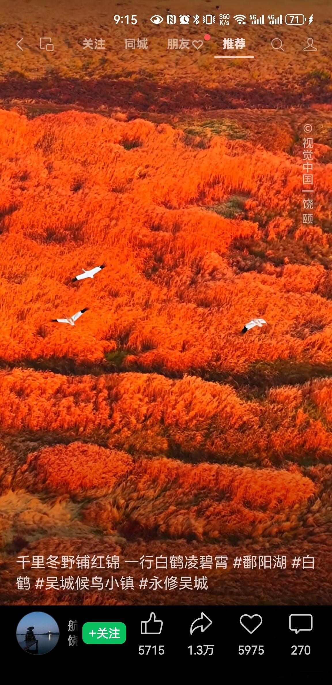 佛为心，道为骨，儒为表，大度看世界。技在手，能在身，思在脑，从容过生活。三千年读